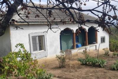 Casă cu 4 camere cu Teren 1458 Mp în Vânători - 3