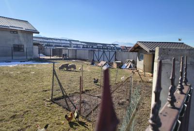 Teren Construcții intravilan de 500 mp, în Tărlungeni - 5