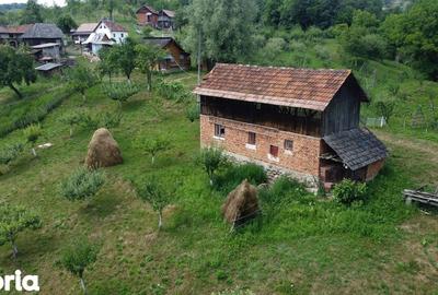 Teren de 6200 mp, în Cicănești - 4