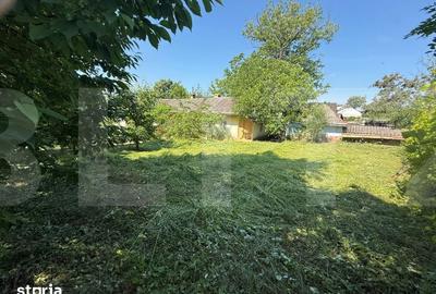 Casă cu 3 camere cu Teren 3095 Mp în Central - 6