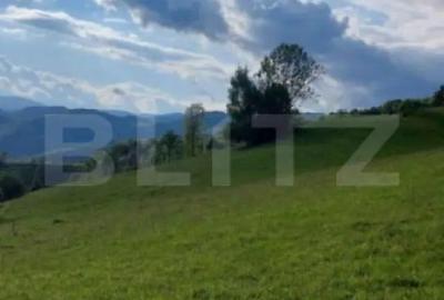 Teren de 4500 mp, în Ponor - 4