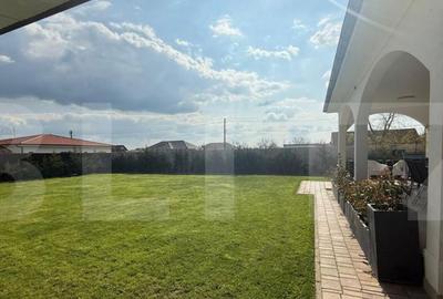 Un col? de rai, cu suflet de ora? Refugiul tau din Di - 13