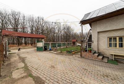 Casa cu lac priveliste superba spre padure 0% Comision - 17