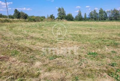 Teren Cluj, Risca 1280mp intravilan