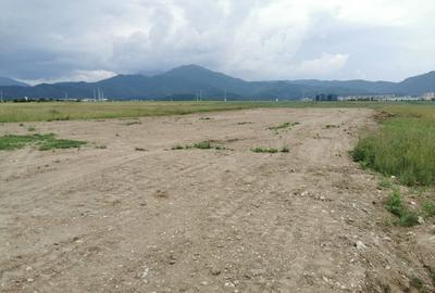 Teren pentru hale si depozite Timisul sec- Uzina 2 front la ocolitoare - 2