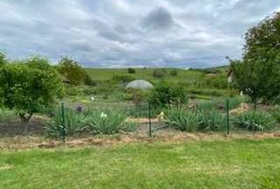 Casă cu 4 camere în Agrișteu - 2