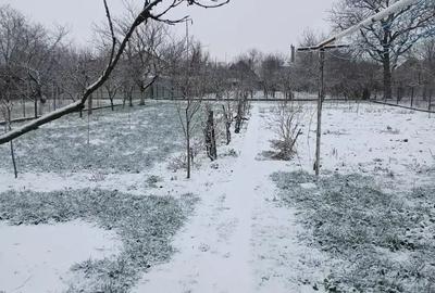 Casa P+E de vanzare in Ineu, jude?ul Arad - 5