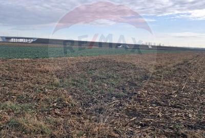 Teren agricol intravilan de 3400 mp, în Sântion - 2