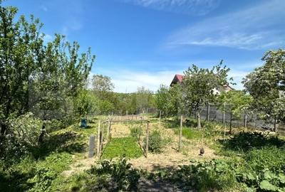 Casă individuală cu 3 camere cu Canalizare în Bucium - 2