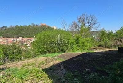 Casa cu vedere la cetatea medievala Sighisoara - 12