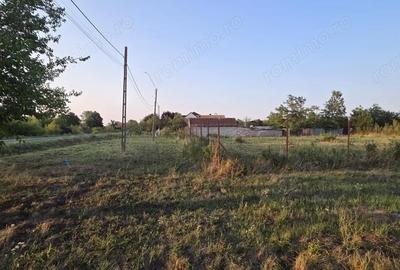 Teren de 1600 mp, în Sacoșu Turcesc - 4