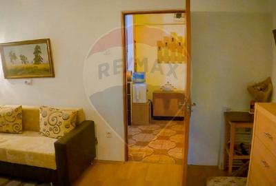 Apartament cu 2 camere de inchiriat in Deva - 7