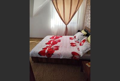 Casa Strejnicu: 150m², 3 dormitoare, 2 băi, 2 garaje - 10