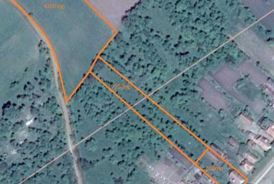 Casă cu 3 camere în Chiochiș