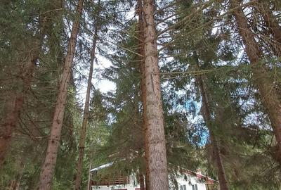 Casă cu 3 camere în Central - 1