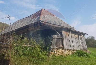 Casa si teren 1.6 ha de vanzare, in Rona de Jos - 3