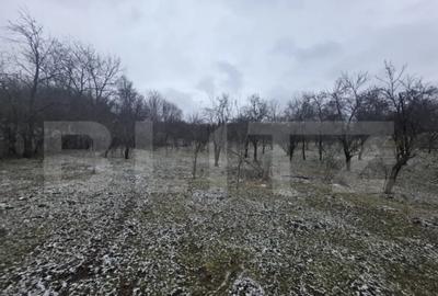 Teren de 9066 mp, în Central - 7