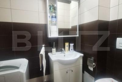 Apartament cu 3 camere decomandat, mobilat în Noua - 9