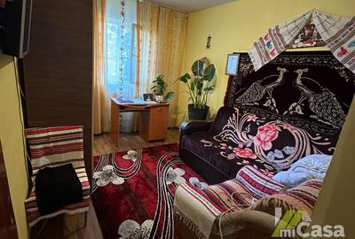Casă individuală + casă secundară pe teren generos de 850 mp – Smârdan - 18