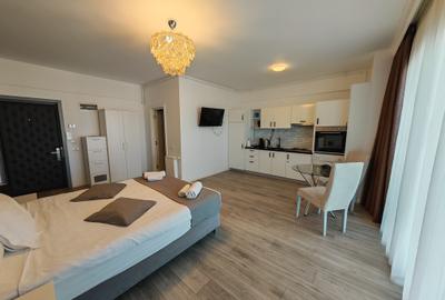 Garsonieră decomandată, mobilată în Nord - 7