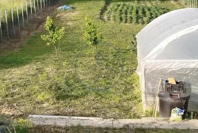 Casă în Central - 6