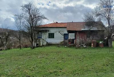 Casă cu 4 camere cu Teren 9000 Mp în Cotmeana - 7