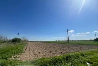 Teren de 4400 mp, în Grădinari - 1