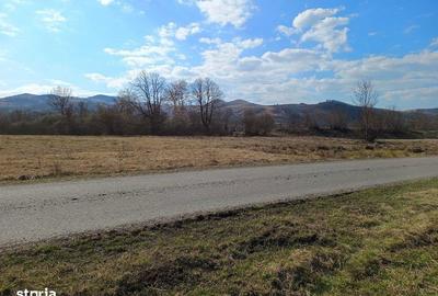 Teren de 2675 mp, în Poieni - 2