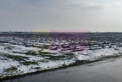 Teren agricol intravilan de 7600 mp, în Cosoba - 3