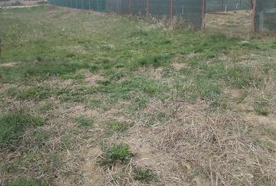 Teren de 5500 mp, în Ruși-Ciutea - 14