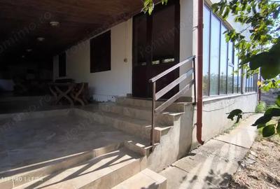 Afacerea Ideala- Vila cu deschidere la Dunare 50 ml cu Ponton amenajat, ESELNITA Afacerea Ideala- Vila cu deschidere la Dunare 50 ml cu Ponton amenajat, ESELNITA - 4