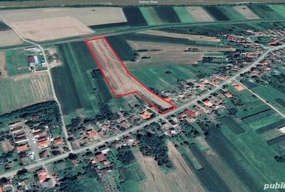 Teren de 28000 mp, în Vetiș - 1