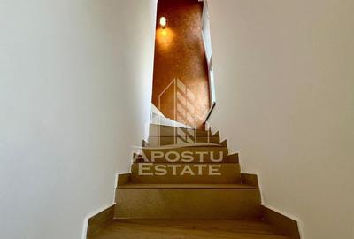 Casa insiruita cu 3 camere, 2 bai, in Dumbravita - 2