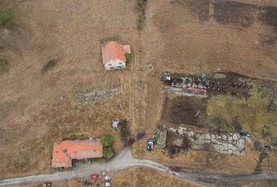 Teren de 540000 mp, în Măhăceni - 1