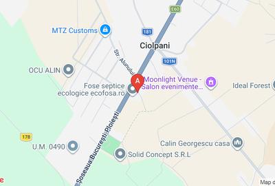 Proprietate specială, 3300300 mp în Ciolpani - 1