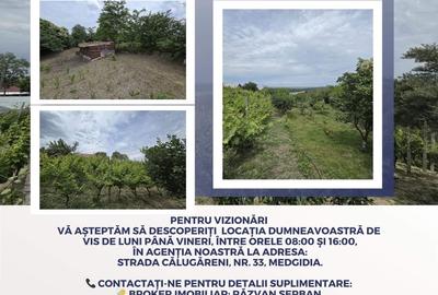 Casă de Vis în Satul Rasova, Constanța - 3
