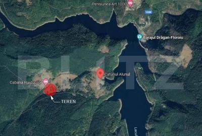 Teren Intravilan 4000 mp, Valea Draganului, - 6