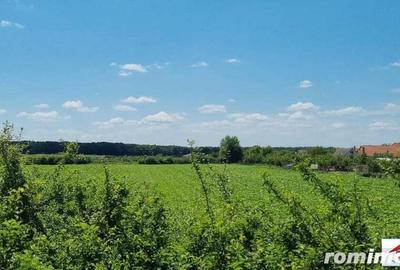 Teren extravilan 3,56 hectare in Dorolt ( ID 22873) - 2