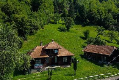 FILM! Proprietate autentica, Bran-Simon, 4.300 mp teren, casa traditionala + ane - 20