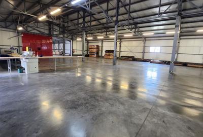 Spatiu industrial productie/ depozitare, Timiș - 2