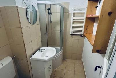 Garsonieră decomandată în Sub Arini - 5