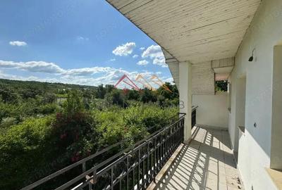 Teren intravilan 20280 mp, oportunitate investitie, Gageni, Prahova - 4