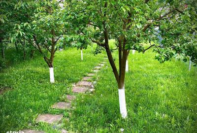 Apartament cu 2 camere în Dâmbul Rotund