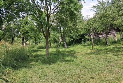 Casă cu 3 camere în Delenii - 11