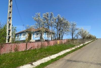 Casa  cu 10000mp de teren in Buza, la 50 km de Cluj-Napoca