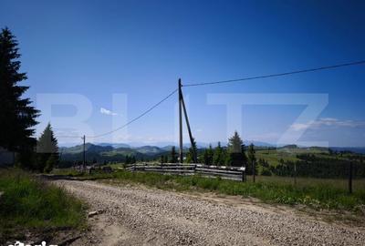 Teren de 2817 mp, în Tiha Bârgăului - 5