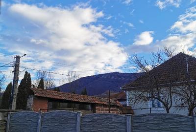 Casă individuală cu 3 camere cu Teren 4482 Mp în Hobița-Grădiște - 10