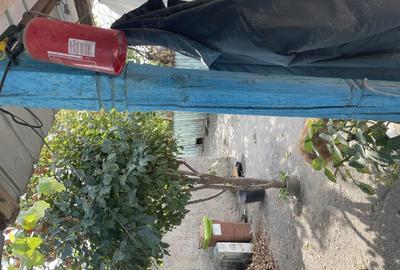 Casă cu 5 camere în Central - 4