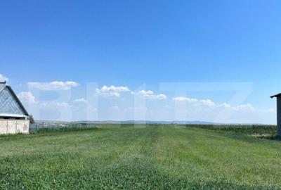 Oportunitate de investitie!!! Teren intravilan, 9782 mp, zon - 7