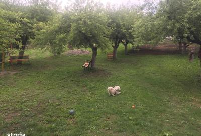 Spațiu comercial, în Baciu - 3